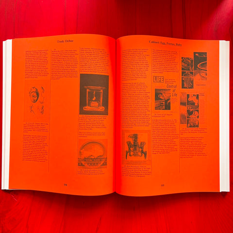 Mothering Myths: An ABC of Art, Birth and Care / Laurie Cluitmans & Heske ten Cate