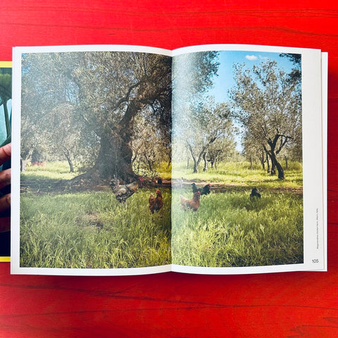 Good Food: A Journey Through the World of Resilient Agriculture / Ruud Sies & Hanneke van Hintum