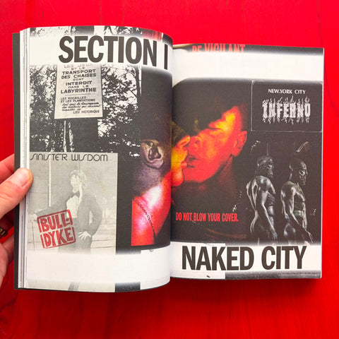 Cruising Pavilion: Dissident Sex, Architecture and Cruising Cultures / Pierre-Alexandre Mateos, Charles Teyssou, Spector Books