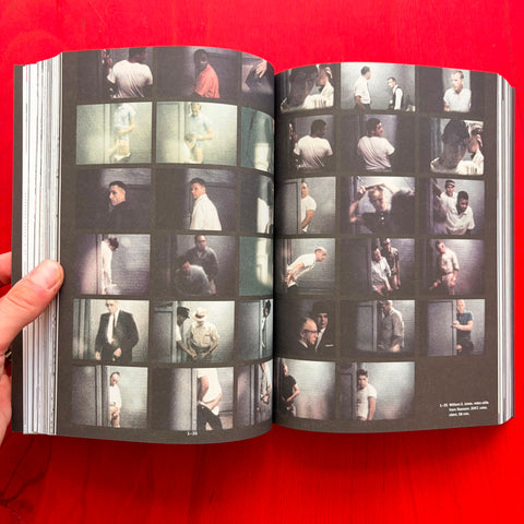 Cruising Pavilion: Dissident Sex, Architecture and Cruising Cultures / Pierre-Alexandre Mateos, Charles Teyssou, Spector Books