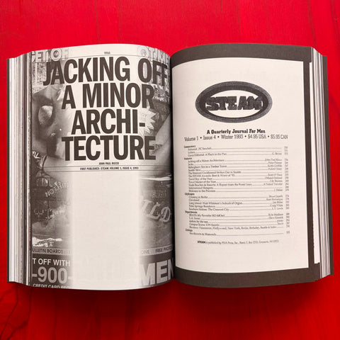 Cruising Pavilion: Dissident Sex, Architecture and Cruising Cultures / Pierre-Alexandre Mateos, Charles Teyssou, Spector Books