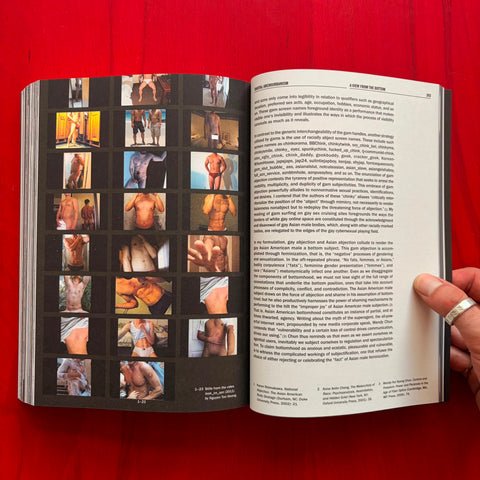 Cruising Pavilion: Dissident Sex, Architecture and Cruising Cultures / Pierre-Alexandre Mateos, Charles Teyssou, Spector Books