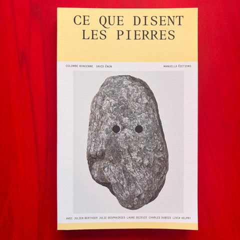 Ce que disent les pierres / Colombe Boncenne, David Enon