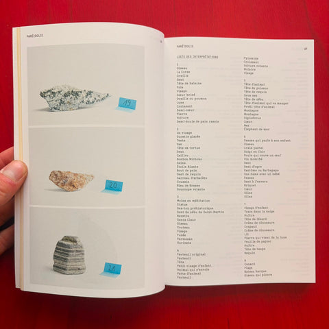 Ce que disent les pierres / Colombe Boncenne, David Enon
