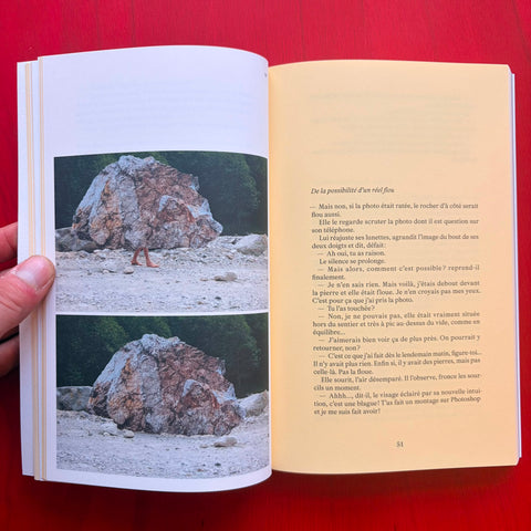 Ce que disent les pierres / Colombe Boncenne, David Enon