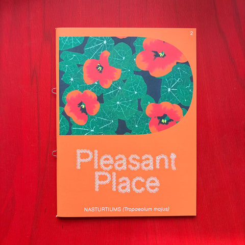 Pleasant Place 2 - Nasturtiums (Tropaeolum majus)