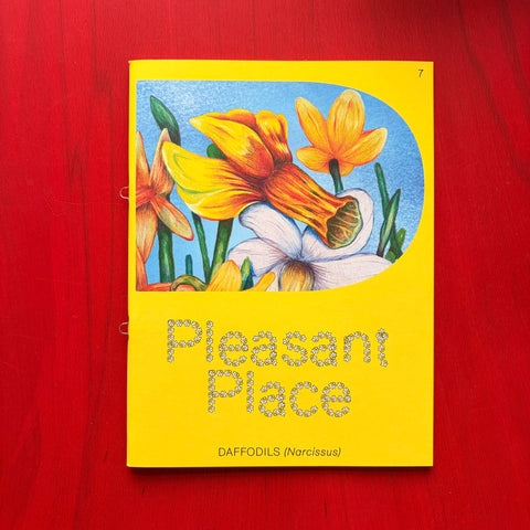 Pleasant Place 7  - Daffodils
