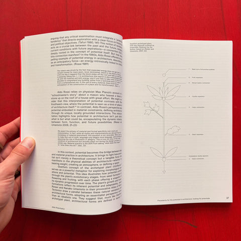 The Potential of Form: How to Transform Existing Buildings in Post-functional Europe / Elena Guidetti