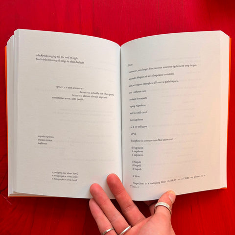 Traduire la performance / performer la traduction, Marion Blondel, Clothilde Roullier, Vincent Broqua, Fanny Catteau