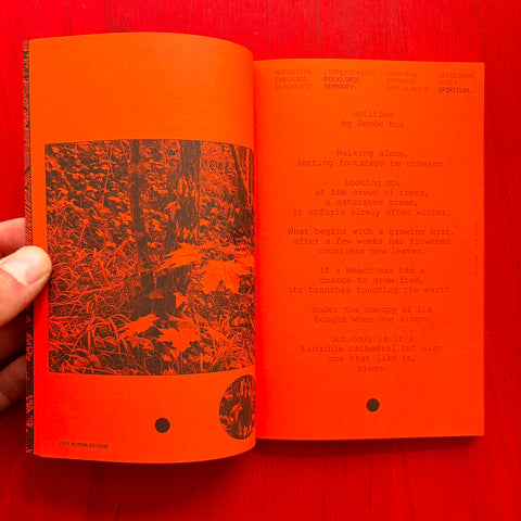 A Tree: A Reader on Arboreal Kinship / Collectif