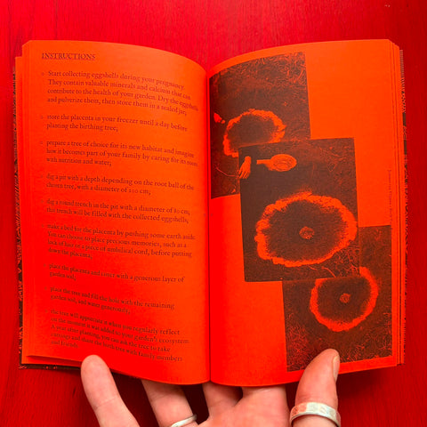 A Tree: A Reader on Arboreal Kinship / Collectif