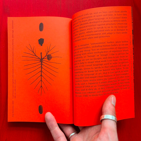 A Tree: A Reader on Arboreal Kinship / Collectif