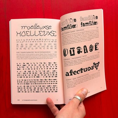 La typographie post-binaire: Au-delà de l'écriture inclusive / Camille Circlude