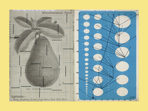 Karel Martens: Unbound / Karel Martens, Thomas Castro, Rein Wolfs, Sujin Lee, Jordi de Vetten
