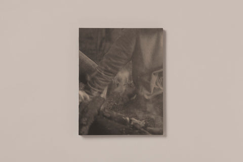 La Ronde des Hirondelles / Florence Cuschieri
