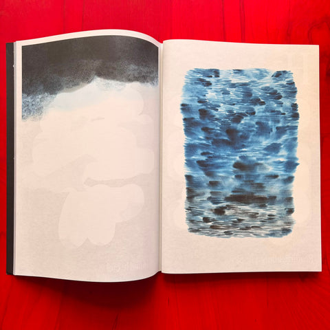 UPO #4 : Reading The Sky - Lire le ciel: Corps pluvieux, couloirs célestes - Weather strains, celestial lanes / Aino-Maija Metsola, Daniel / Pierre De Roulet / Rusch, Rejane / Elodie Dal Bello / Boyer
